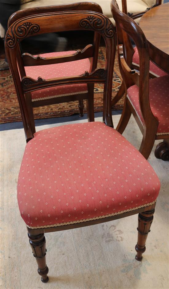 A set of six William IV rosewood dining chairs and two other dining chairs